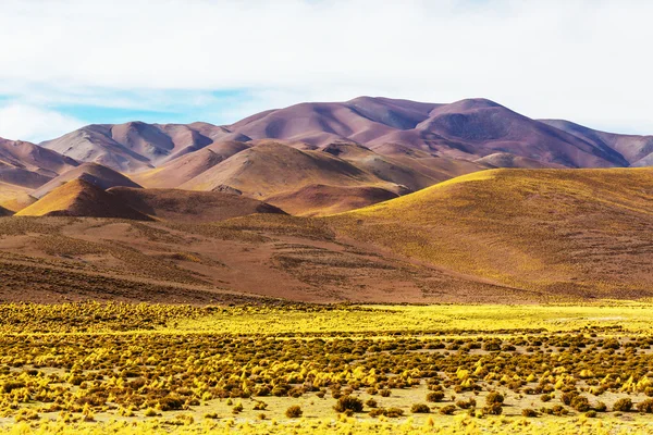 阿根廷北部的风景 — 图库照片