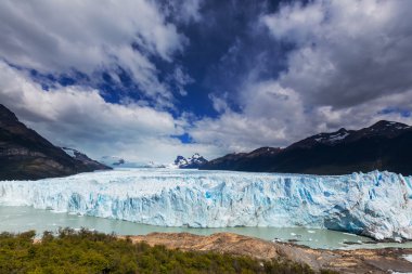 Arjantin 'de perito moreno buzulu