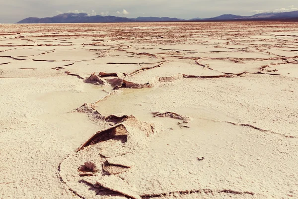 Salt desert salinas — Stock Photo, Image