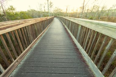 Bataklıkta ahşap tahta