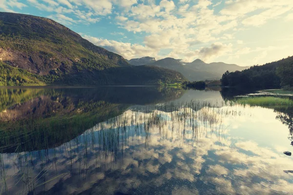 Norvég fjord tájak — Stock Fotó