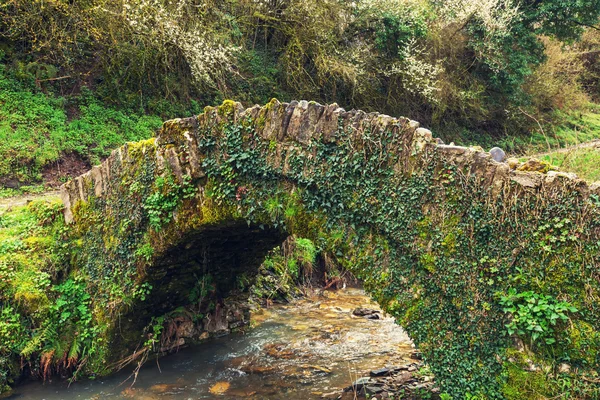 Traditional stone bridge in Greece — Stock Photo, Image