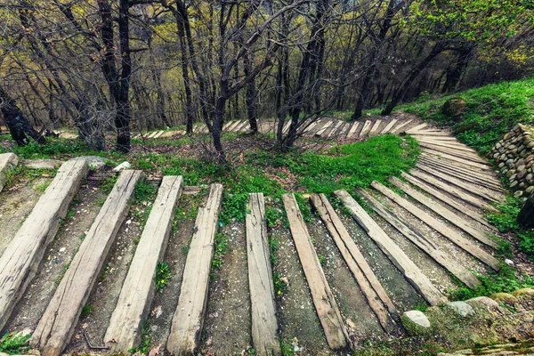 Sentiero con scale nel bosco — Foto Stock