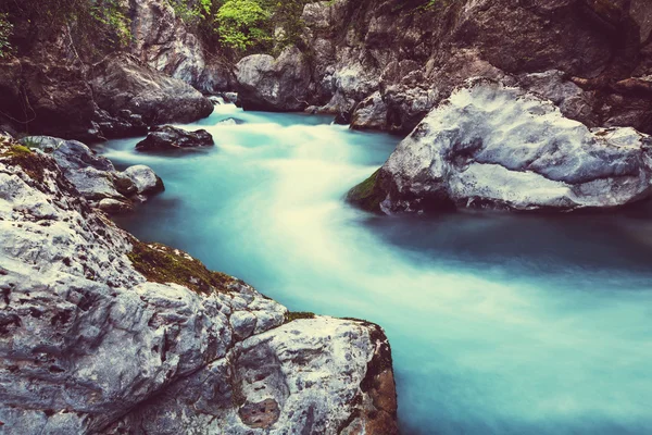 森の小さな滝 — ストック写真