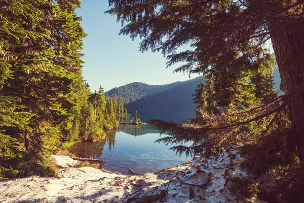 Lake in rocky mountains — Stockfoto