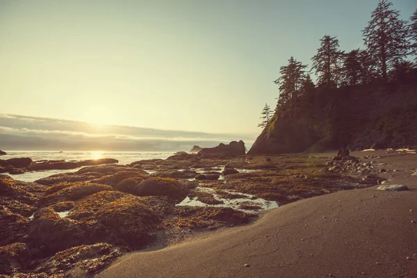 Olympic National Park landscapes — Stock Photo, Image