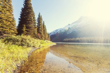 Buzul Ulusal Parkı, Montana.