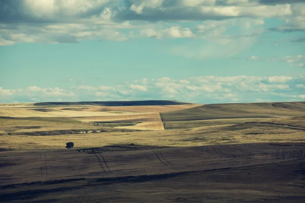 Panorama of agriculture fields — Stock Photo, Image