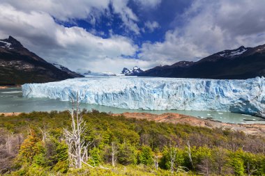 Arjantin 'de perito moreno buzulu