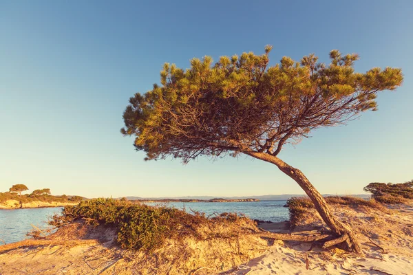 Prachtig strand in Griekenland — Stockfoto