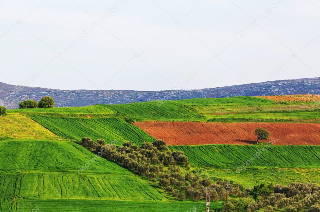 green Fields panorama