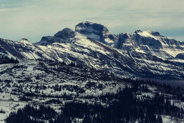 Gletscher-Nationalpark — Stockfoto