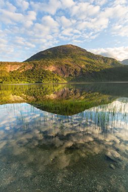 Kuzey Norveç peyzaj