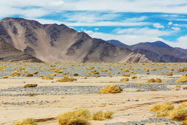 Landschap van Noord-Argentinië — Stockfoto