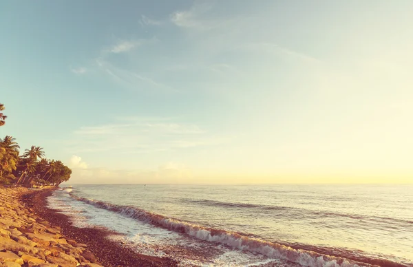 Costa esotica dell'oceano — Foto Stock