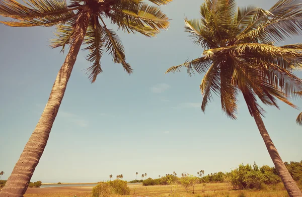 Serenity tropisk strand — Stockfoto