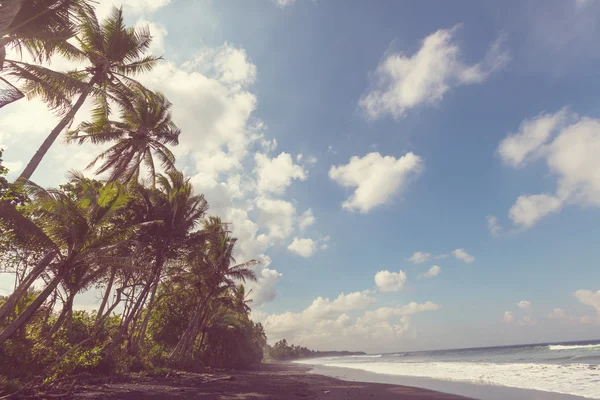 Ruhe tropischer Strand — Stockfoto