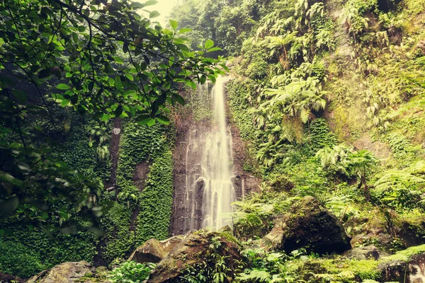 Vattenfall i indonesiska djungeln — Stockfoto