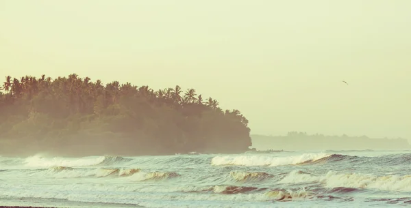 Incrível praia oceânica — Fotografia de Stock