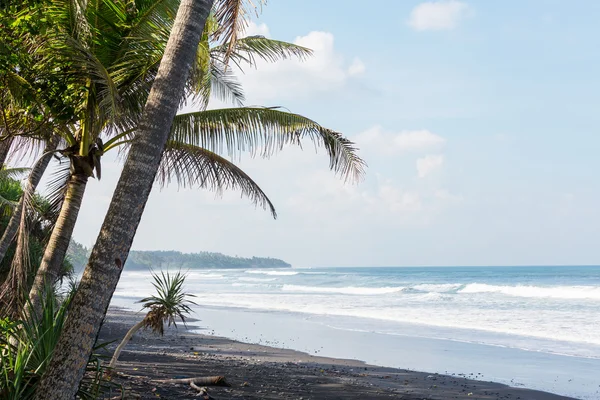 Sérénité plage tropicale — Photo