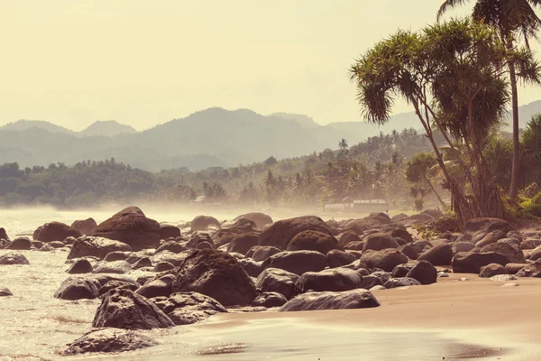 Sérénité plage tropicale — Photo