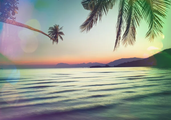 Serenity tropisk strand — Stockfoto