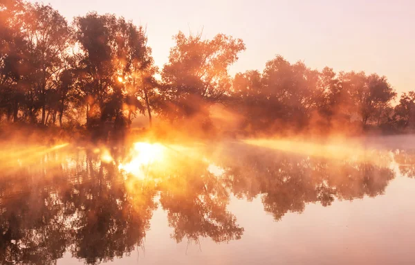 Flussnebel über dem Wasser — Stockfoto