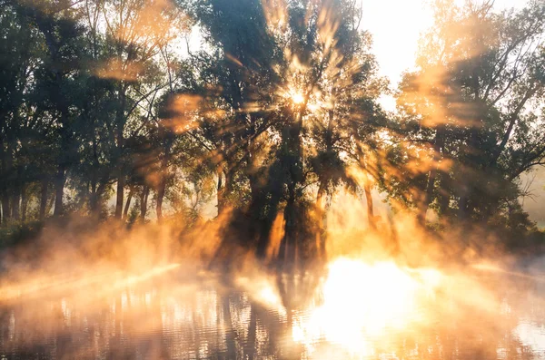 Niebla del río sobre el agua — Foto de Stock