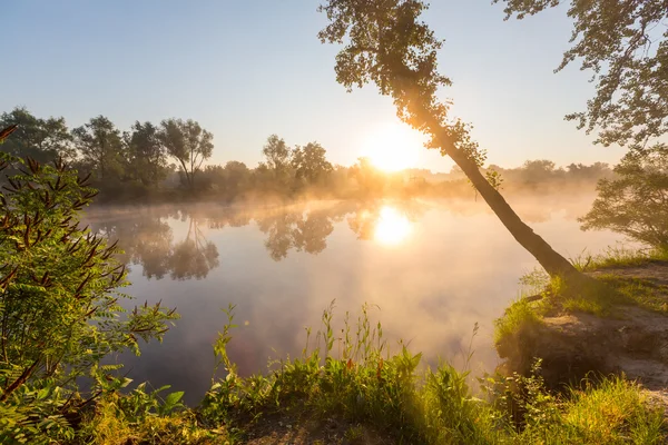 River fog over water — Stock Photo, Image