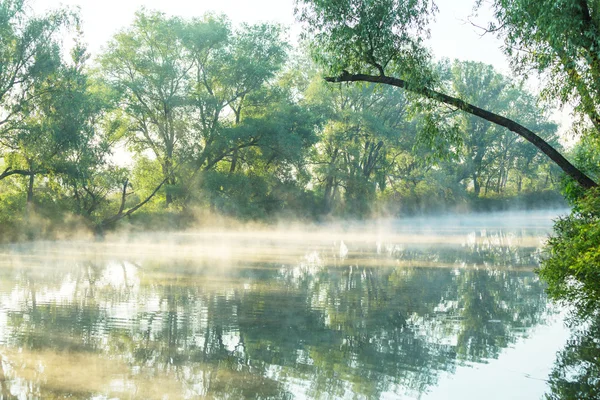 Nehir sis su üzerinde — Stok fotoğraf