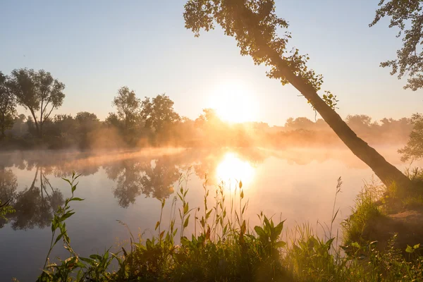 Brouillard fluvial sur l'eau — Photo