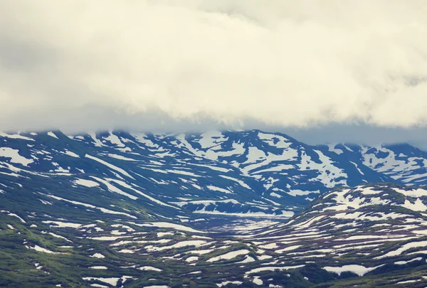 アラスカの山の牧草地 — ストック写真