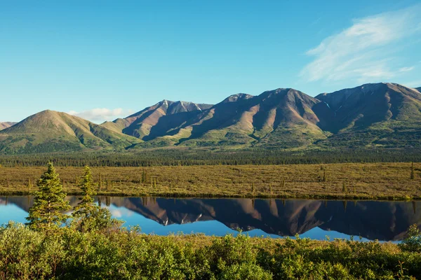 Prato di montagna in Alaska — Foto Stock