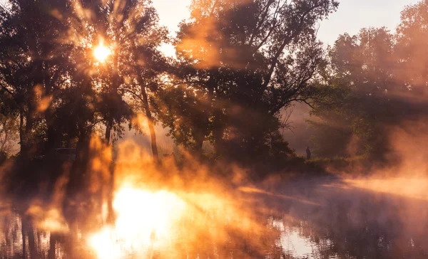 River fog in summer — Stock Photo, Image