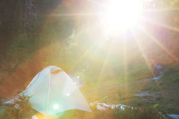 Tente dans le camping forestier — Photo