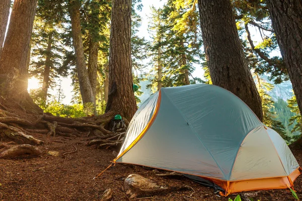 Tenda nel campeggio Forest — Foto Stock