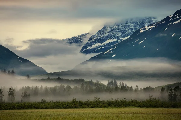 Paisagem do prado do Alasca — Fotografia de Stock