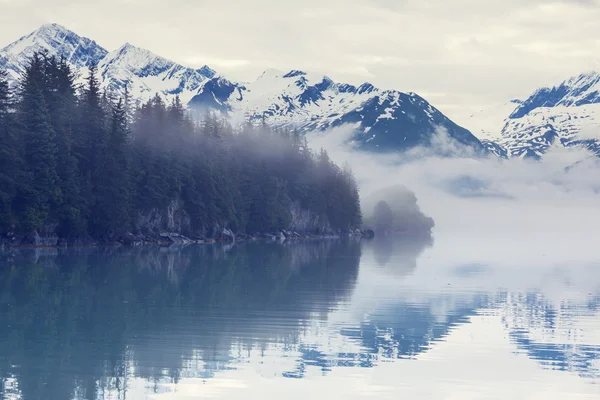 Alaska äng landskap — Stockfoto