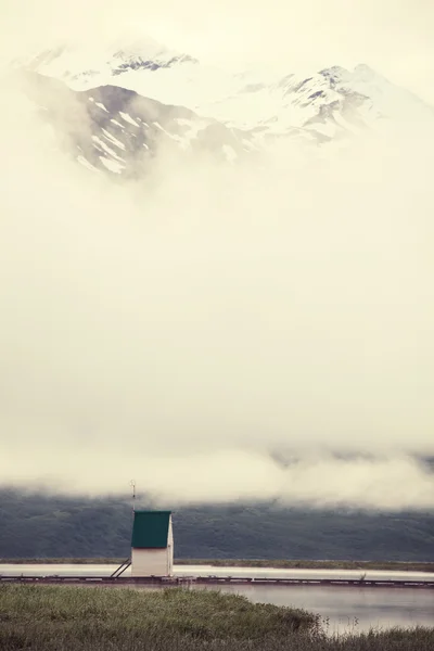 Alaska Mountain meadow — Stock Photo, Image