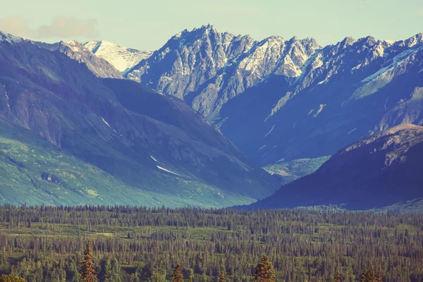 Alaska äng landskap — Stockfoto