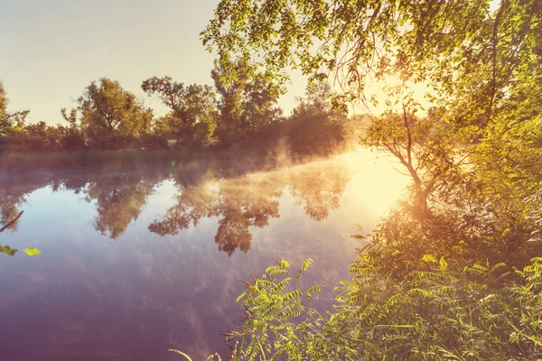 Ομίχλης στον ποταμό για το καλοκαίρι — Φωτογραφία Αρχείου