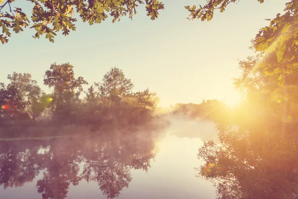 Fog on the river in summer — Stock Photo, Image