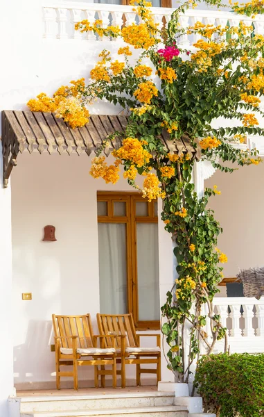 Porta di casa con giardino — Foto Stock