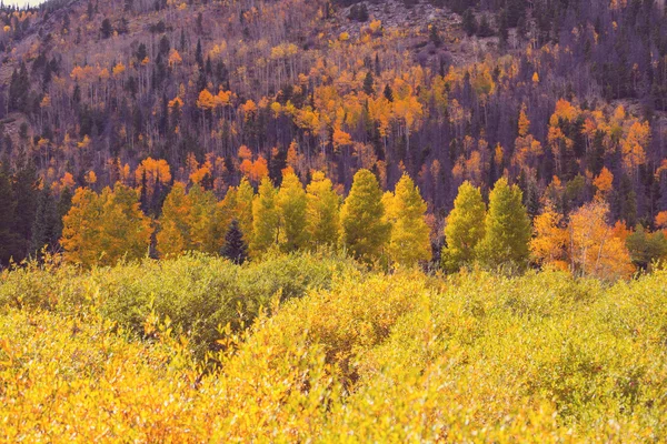 Autumn countryside background — Stock Photo, Image