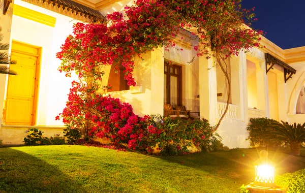 Puerta de casa con jardín —  Fotos de Stock