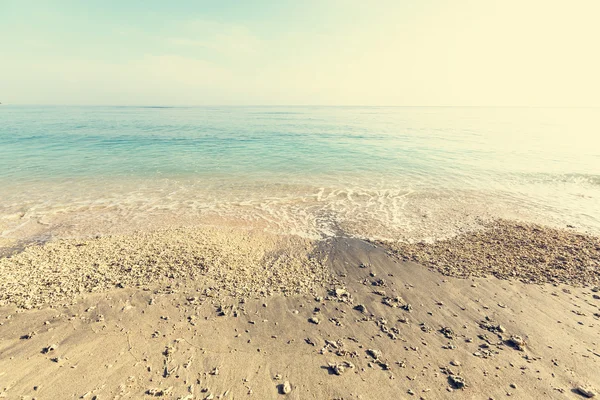 Bella spiaggia oceanica — Foto Stock