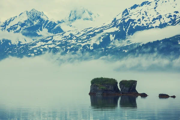 Prato di montagna in Alaska — Foto Stock
