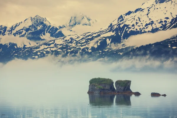 Alaska'da dağ çayır — Stok fotoğraf