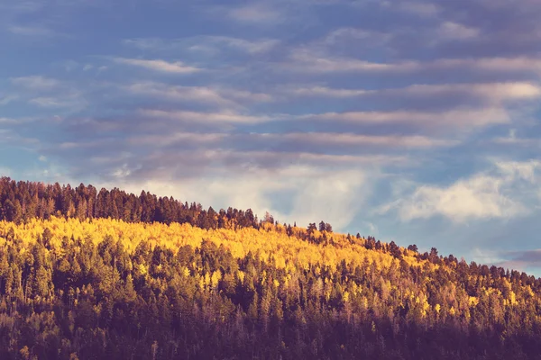 Jesień w sierra nevada — Zdjęcie stockowe