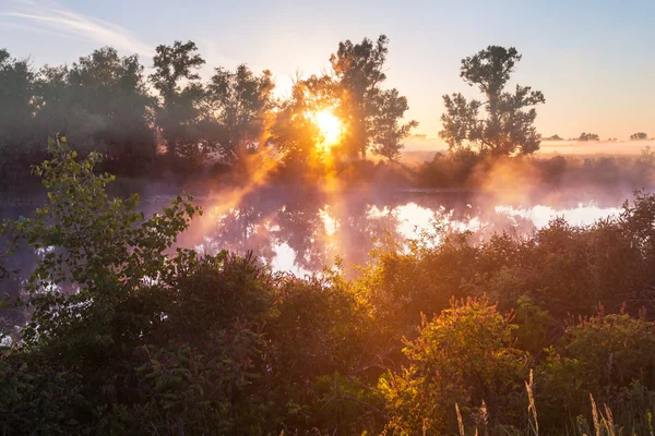 Утренний речной туман — стоковое фото